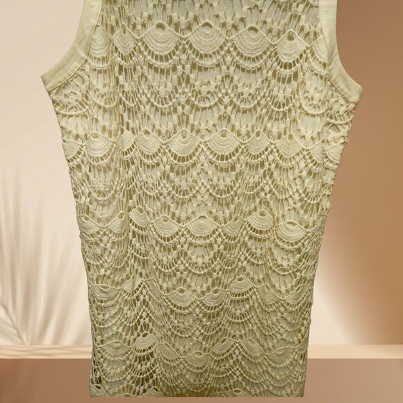 LOFT Cream Lace Shift Dress | Size 4P | Worn Once - Picture 4 of 4